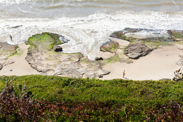 Rocks and moss on the beach