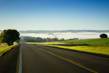 Road in the field