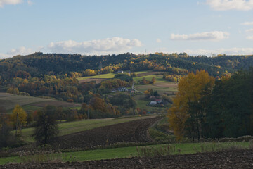 jesienny krajobraz z drzewami
