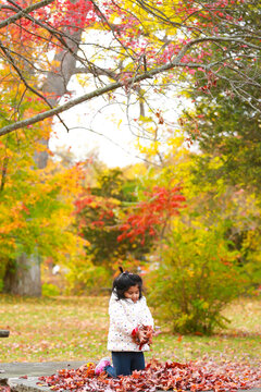Picture of young girl throwing leaves happiness 