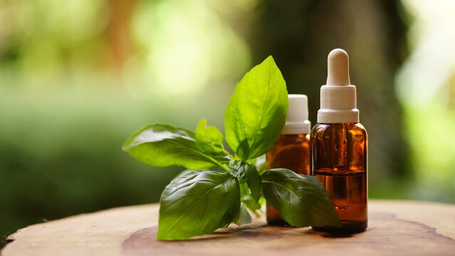 Aromatherapy basil oil - Phytotherapy - alternative medicine