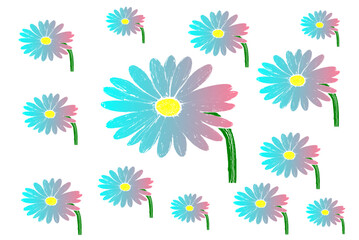 Beautiful pastel purple blooming flowers on a white background. Spring and summer pattern