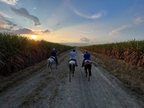 Atardecer Cabalgando 