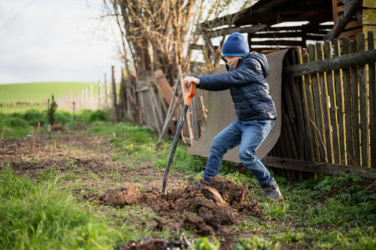 In the garden young boy digs a hole in the ground to plant a tree
