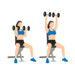 Woman doing seated Arnold press on a bench exercise. Flat vector illustration isolated on white background