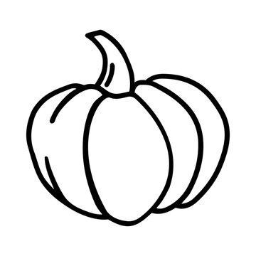 Pumpkin hand drawn vector illustration in doodle style black and white image of vegetables