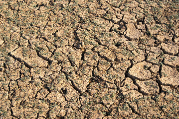 Imagen cenital de suelo agrietado por la falta de agua y la sequía.