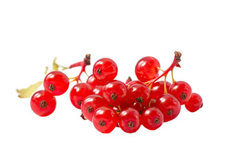 Closeup of Redcurrants isolated on transparent background. Generative AI
