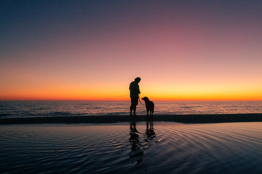 person and dog at sunset