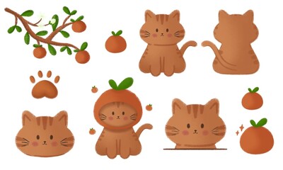 orange cat set,The orange cat is in the orange garden.