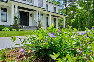 Fototapeta na wymiar Newly planted flower bed in a suburban home with pretty periwinkle flowers blooming