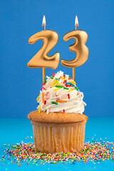 Birthday cake with candle number 23 - Blue background