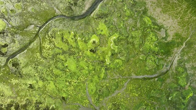 Hurst Point near Milford on Sea. Swamp and yachts. Cinematic drone flight