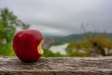 Roter Apfel - gesund, frisch, bio