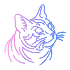 kitty icon