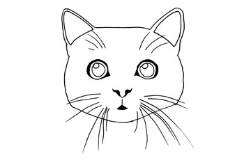 Illustration of a cat