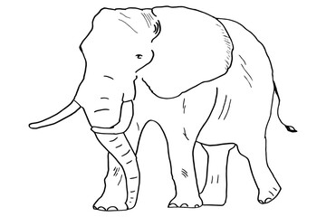 Elephant silhouette vector