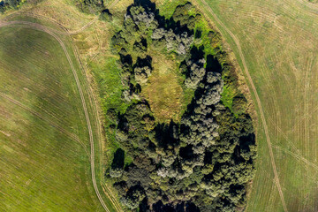 Ogubskoye swamp settlement, view from a great height. Archaeological site in Zhukovsky district, Kaluga region, Russia