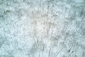 Aerial view of a snow-covered forest