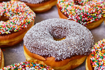 Coconut shavings on dark chocolate coated donut surrounded by colorful sprinkled donuts on white