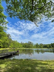 The beautiful view of the tree and the pond on a sunny day with the clear blue sky and white fluffy clouds, reflection in the pond and old wooden dock, Spring in GA USA.