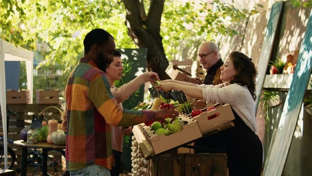 Diverse customers tasting slices of juicy apples before buying organic products at farmers market stand. Smiling couple doing produce sampling with fruits and veggies, laughing at marketplace.