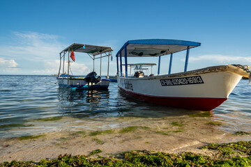 River tour during lunch in Bohol, Philippines