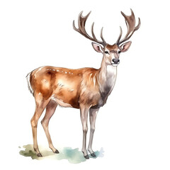 AI generated Watercolor Deer: Whimsical and Serene Wildlife Artwork on White Background" Generative AI.