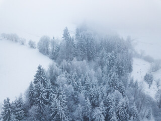 Aerial. Trees and snow in a winter forest. Nature background top view from drone