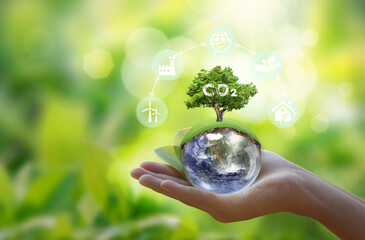 Renewable energy-based green businesses can limit climate change and global warming. Clean and...
