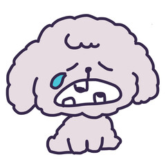 口を開けて虫歯を見せている悲しい顔をして涙を流しているかわいいトイプードルの子犬