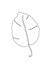 Tree leaf line art. Tropical leaf one line drawing.Continuous line drawing of tropical palm leaf.Single one line exotic palm leaf .Leaves outline sketch.