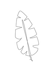 Palm tree leaf line art. Tropical leaf one line drawing.Continuous line drawing of tropical palm leaf.Single one line exotic palm leaf .Leaves outline sketch.