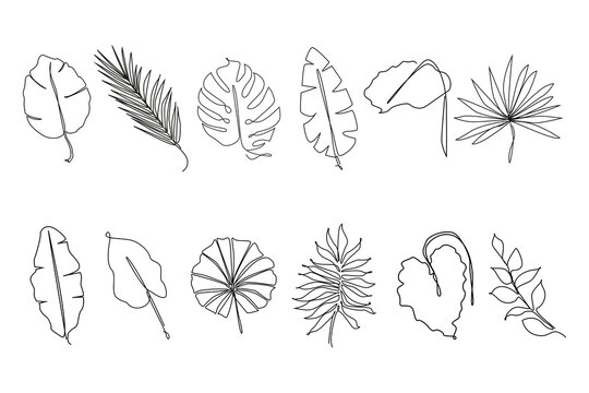 Tropical leaves one line drawing.Continuous line drawing of tropical palm leaf.Single one line exotic palm leaf .Leaves outline sketch.Jungle plant leaf line art.Set tropical leaves.
