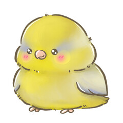 American Yellow Male Pacific Parrolet Forpus