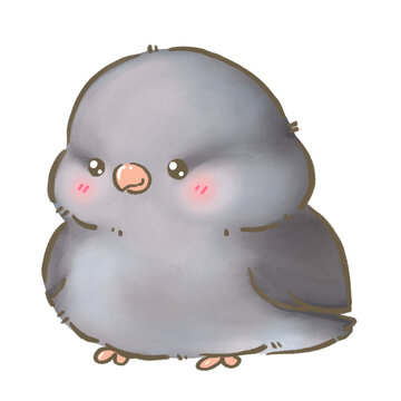 Mauve Male Pacific Parrotlet Cute Forpus