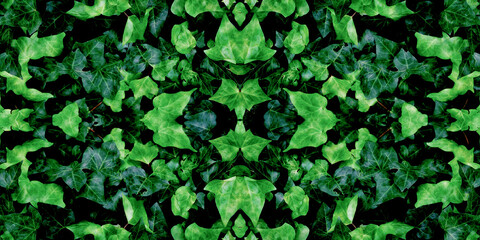 Symmetrical background of green leaves
