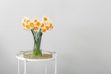 Vase with blooming narcissus flowers on coffee table near white wall