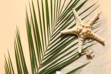 Fototapeta na wymiar Composition with palm leaf, sand, starfish and seashell on color background, closeup