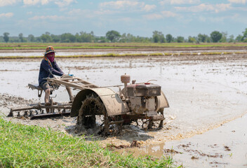 Obraz premium The farmer plow rice field for prepare next planting rice season.