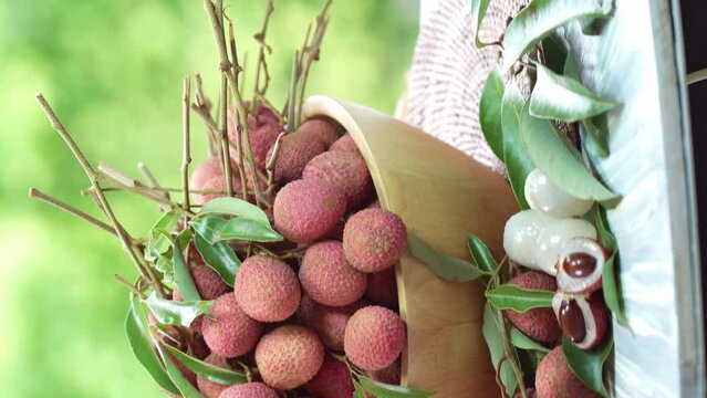 Lychee Fruite in wooden basket, Lychee fruit under sunlight on blurred nature background.