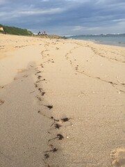 footprints on the beach