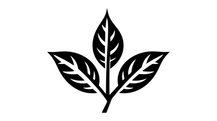 Fototapeta premium Eco icon black leaf vector illustration isolated on white background