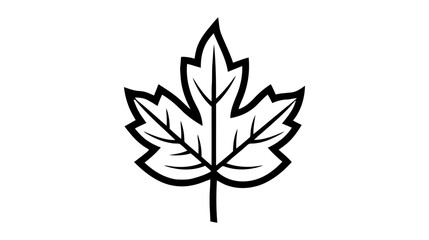 Eco icon black leaf vector illustration isolated on white background