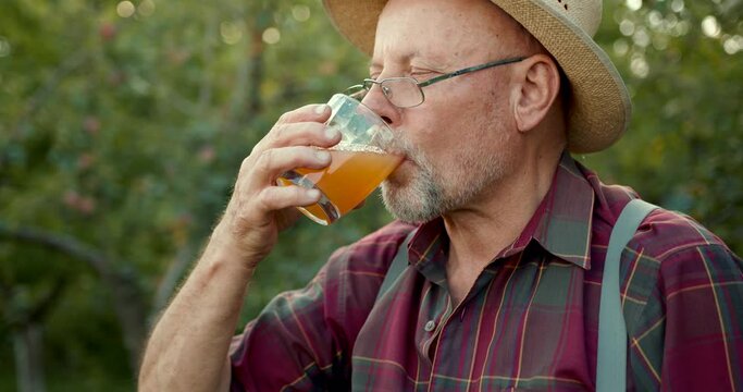 A senior man drinking cider in apple orchard in summer