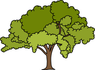 Park Tree Illustration