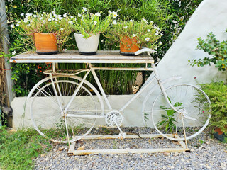 Vintage white bicycle with flower basket in the middle of the garden. beautiful decoration on natural background	