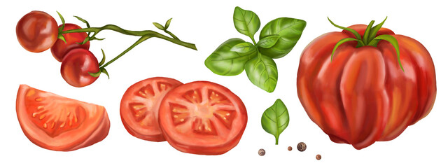 A set of ripe red tomatoes. Fruits of vegetables, slices, basil leaves, peppers. Digital illustration on a white background. Farmer's harvest of healthy organic products. For menus, business cards