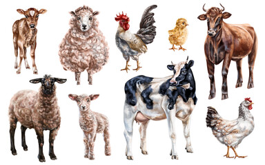 A set of farm animals: cows, chickens, sheep. Rural village mammals, livestock, poultry. Digital illustration on a white background. For postcards, stickers, compositions