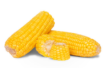 Corn isolated on white background